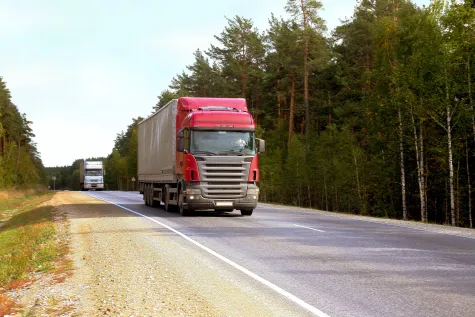 Timm Letsch - Gartengestaltung GmbH & Co.KG, Transportunternehmen