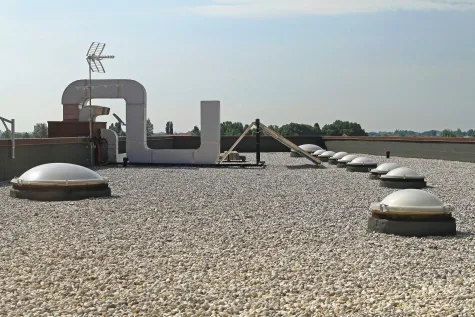 Schaefer Dachbau, Thomas Schaefer, Flachdach