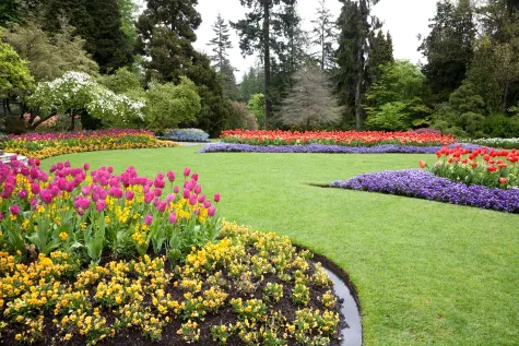Mein Garten Frankfurt (Arlind Sulovari), Gartenpflege