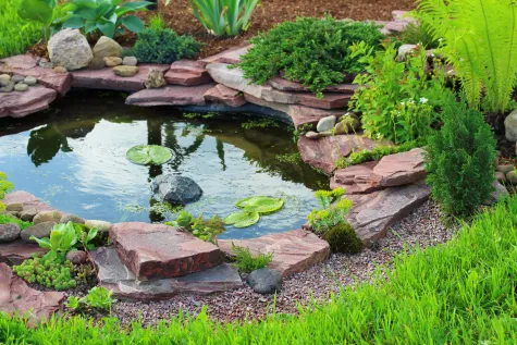 Rene Langisch, Langisch & Handwerkspartner, Gartenpflege