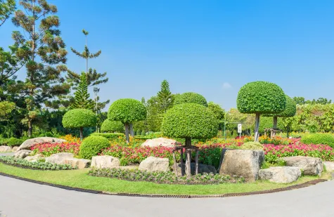 Baumpflege Reinersch, Cornelia Reinersch, Gartenpflege